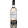 Asconi White